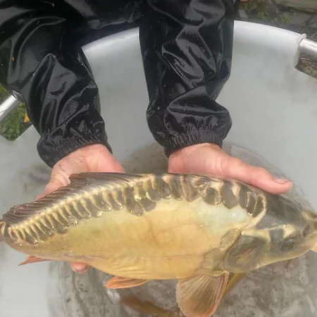 Lakeview Family Fishing Gite *