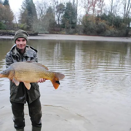Lakeview Family Fishing Gite Σπίτι διακοπών *